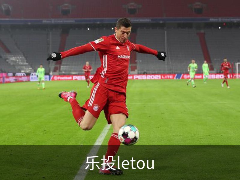 乐投letou概况